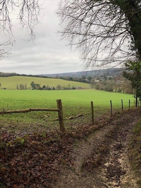 Dorking Skyline Ranmore